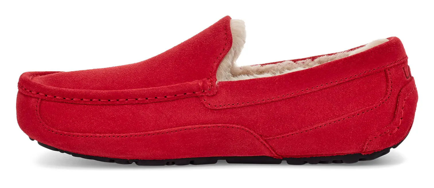 Men’s UGG Ascot (Suede) – Classic Moc-Toe Slipper with Indoor/Outdoor Comfort UGG