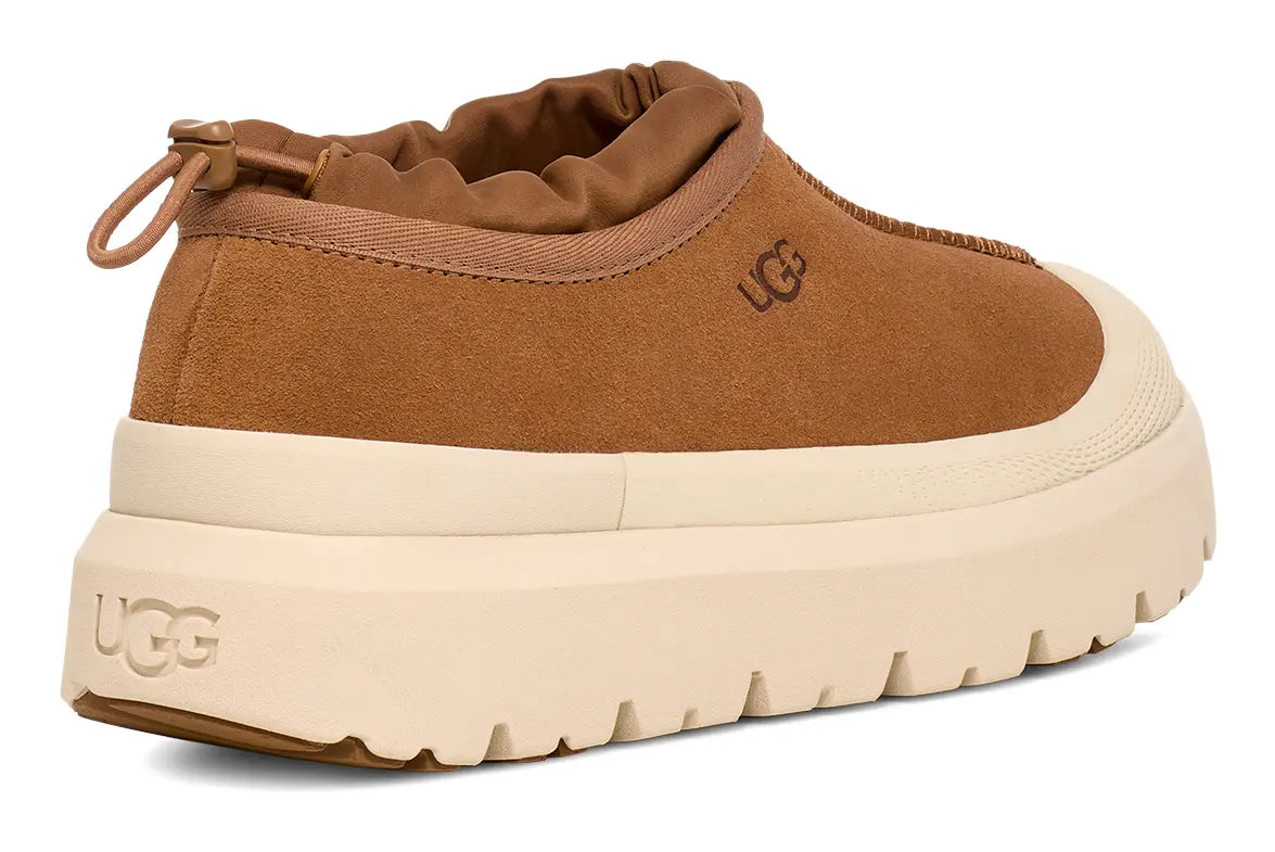 UGG Tasman Weather Hybrid – Cozy Comfort Meets All-Weather Protection UGG