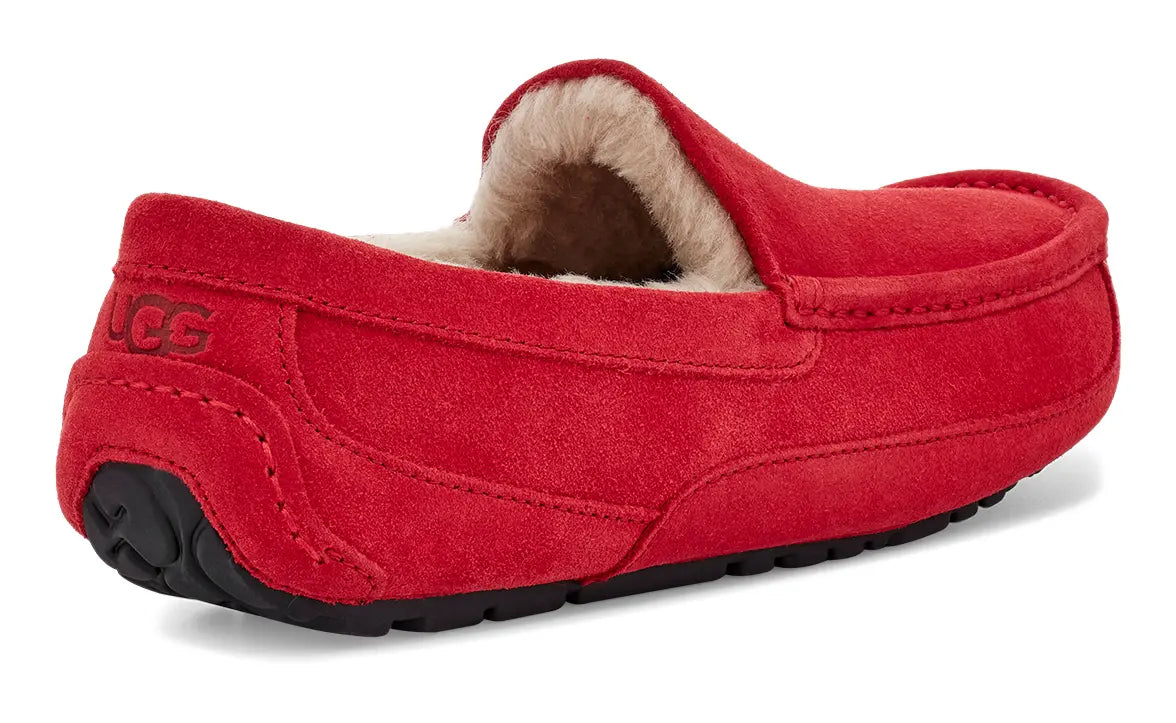 Men’s UGG Ascot (Suede) – Classic Moc-Toe Slipper with Indoor/Outdoor Comfort UGG