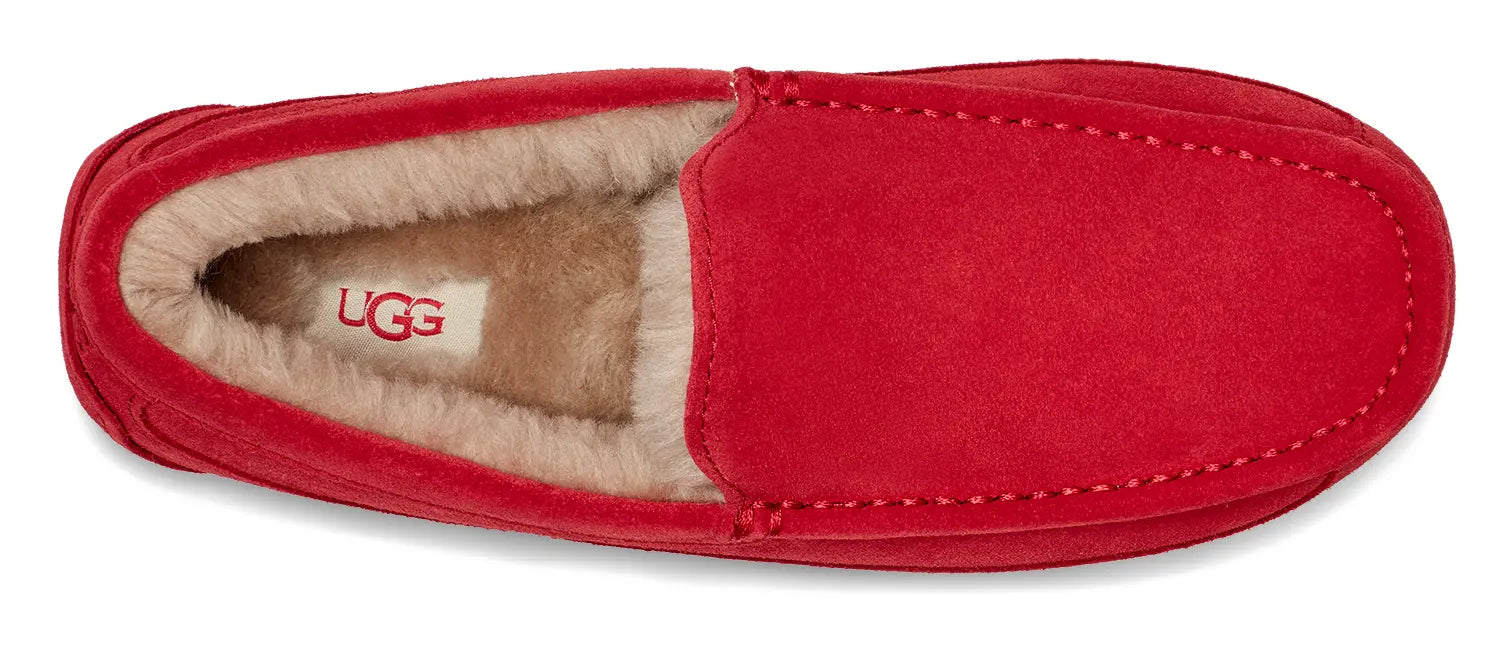 Men’s UGG Ascot (Suede) – Classic Moc-Toe Slipper with Indoor/Outdoor Comfort UGG