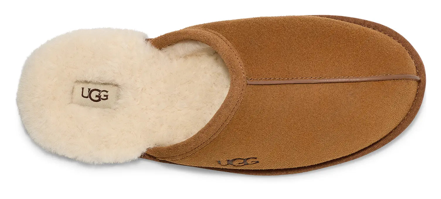 Men’s UGG Scuff – Cozy Wool-Lined Indoor Slipper UGG