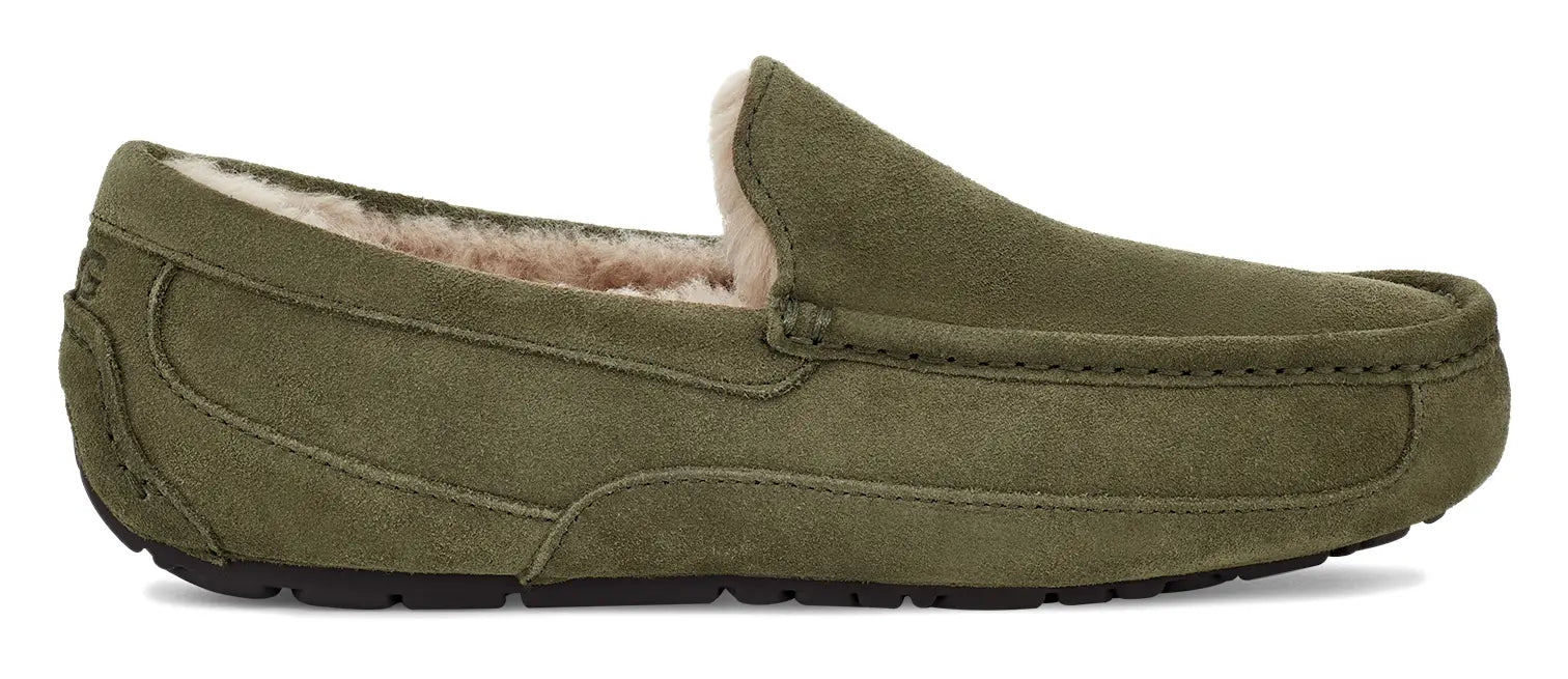 Men’s UGG Ascot (Suede) – Classic Moc-Toe Slipper with Indoor/Outdoor Comfort UGG