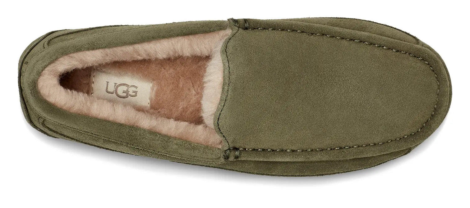 Men’s UGG Ascot (Suede) – Classic Moc-Toe Slipper with Indoor/Outdoor Comfort UGG