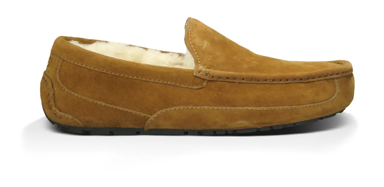 Men’s UGG Ascot (Suede) – Classic Moc-Toe Slipper with Indoor/Outdoor Comfort UGG
