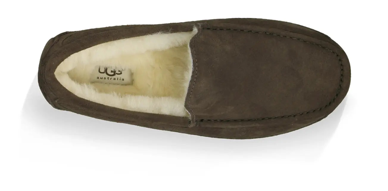 Men’s UGG Ascot (Suede) – Classic Moc-Toe Slipper with Indoor/Outdoor Comfort UGG