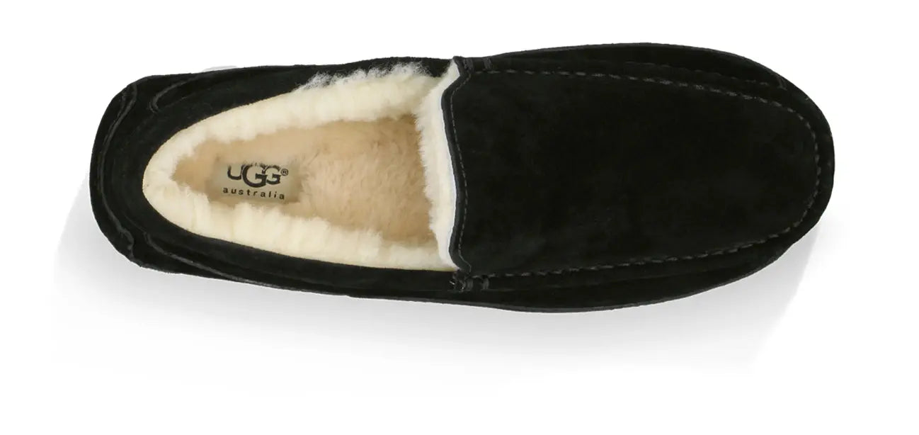 Men’s UGG Ascot (Suede) – Classic Moc-Toe Slipper with Indoor/Outdoor Comfort UGG