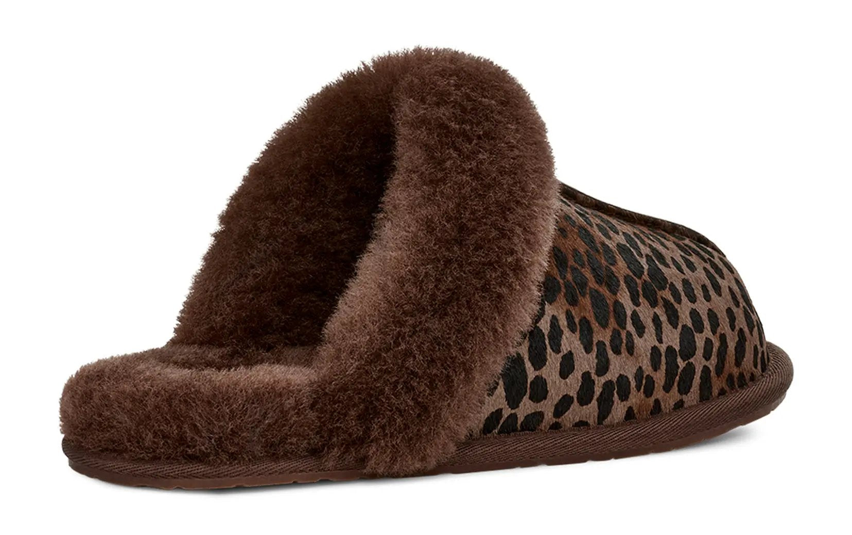 Women’s UGG Scuffette Caspian – Luxe Comfort with Bold Style UGG