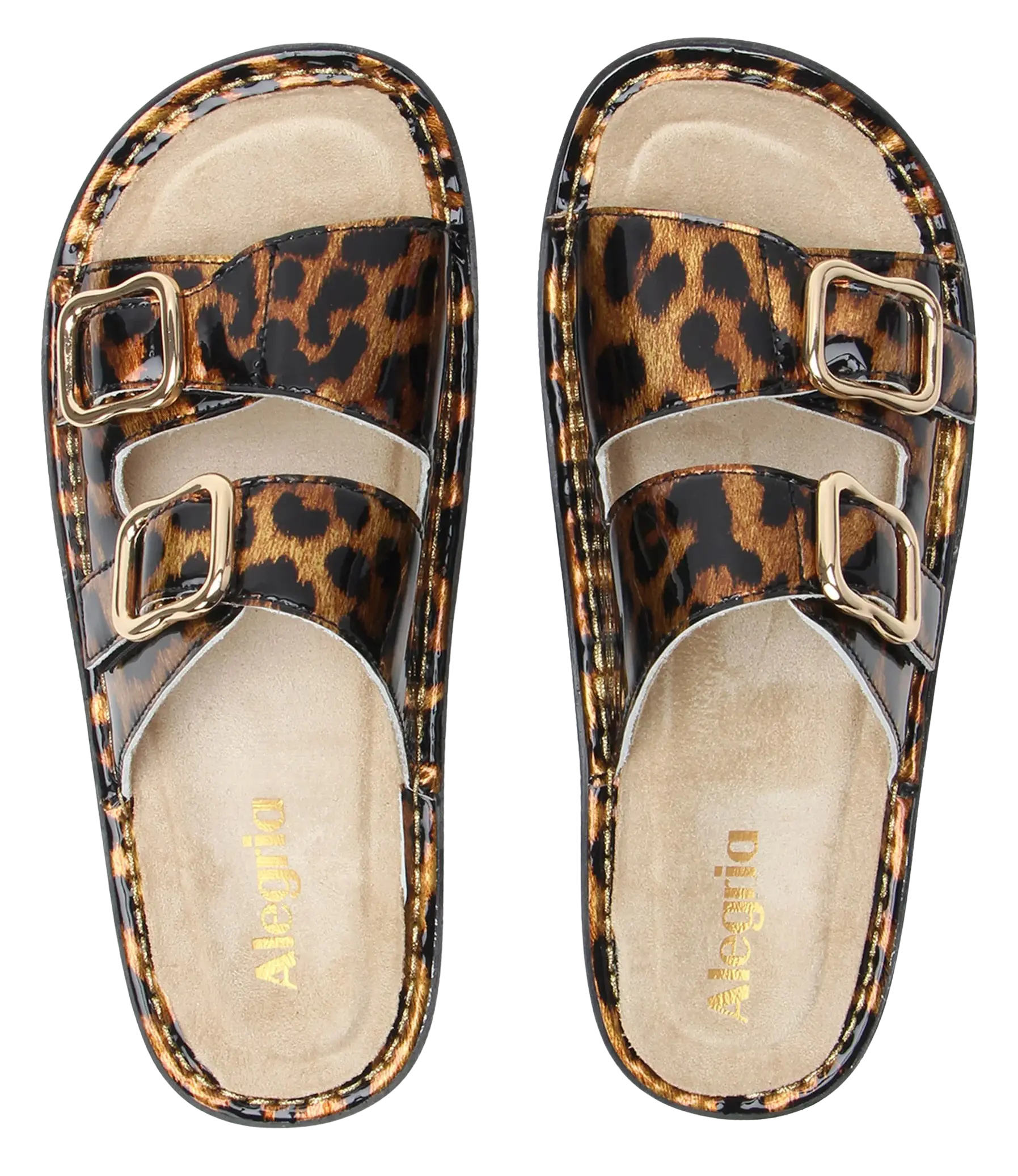 Women's Alegria Verah Leather Sandal – APMA Approved Comfort ALEGRIA-PG LITE CORP.