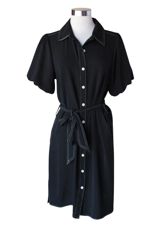 Keren Hart Parker Polished Dress – Collared Shirt Dress