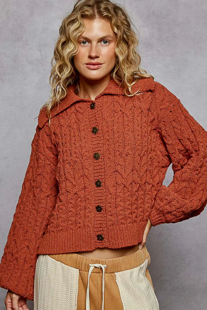 Pol Clothing Pickin’ Pumpkins Cardigan – Chenille Cropped Sweater    POL CLOTHING, INC