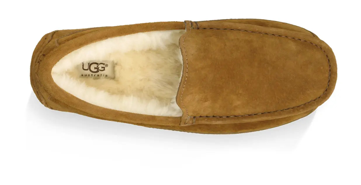 Men’s UGG Ascot (Suede) – Classic Moc-Toe Slipper with Indoor/Outdoor Comfort    UGG